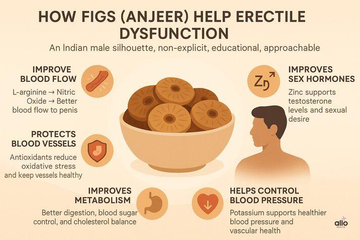 Anjeer (Figs) and Erectile Dysfunction: Know Benefits, Uses, and Risks for Sexual Health 2 Infographic showing how figs (anjeer) may help erectile dysfunction by improving blood flow, supporting testosterone levels, protecting blood vessels, improving metabolism, and helping control blood pressure.