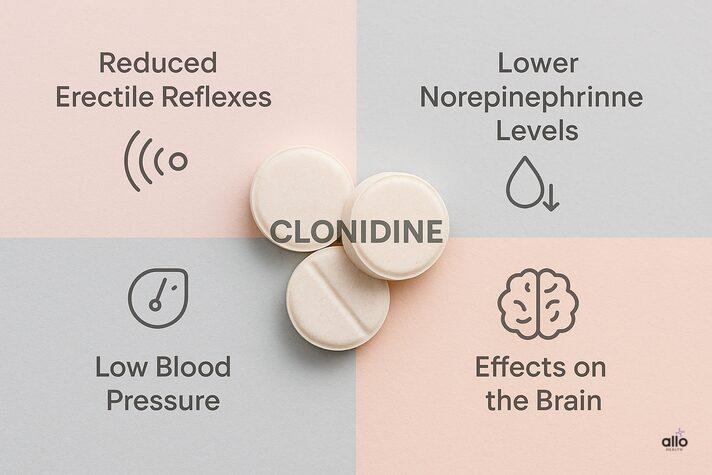 Clonidine and Erectile Dysfunction: Uses, Dosage, and Sexual Side Effects 2 A realistic photo of clonidine tablets with four labeled sections—reduced erectile reflexes, lower norepinephrine levels, low blood pressure, and brain effects—illustrating how clonidine side effects erectile dysfunction occur.