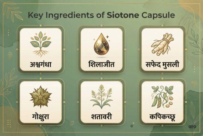 Siotone Capsule क्या है? फायदे, जोखिम और सच जानें इससे पहले कि इसे लें 3 Siotone capsule ke mukhya Ayurvedic ingredients ka infographic.