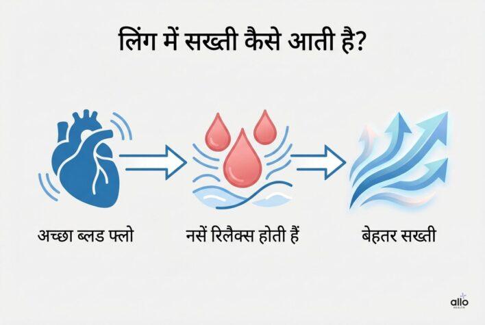 Ling me sakhthi ka process jisme blood flow aur naso ka relax hona dikhaya gaya hai